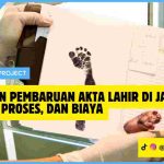 Panduan Pembaruan Akta Lahir di Jakarta: Syarat, Proses, dan Biaya Panduan Pembaruan Akta Lahir